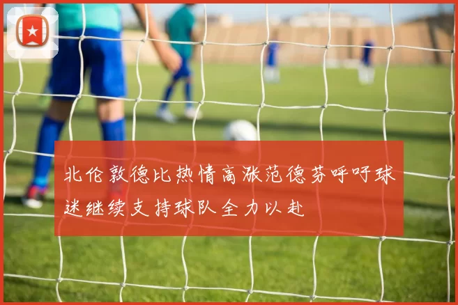 北伦敦德比热情高涨范德芬呼吁球迷继续支持球队全力以赴